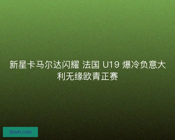 新星卡马尔达闪耀 法国 U19 爆冷负意大利无缘欧青正赛