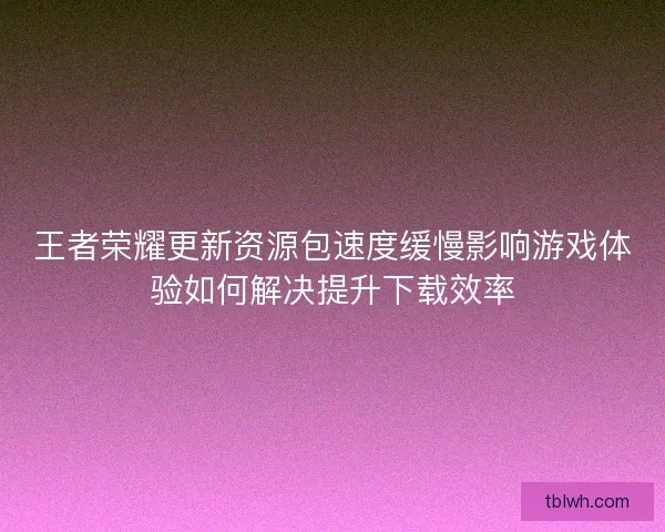 王者荣耀更新资源包速度缓慢影响游戏体验如何解决提升下载效率