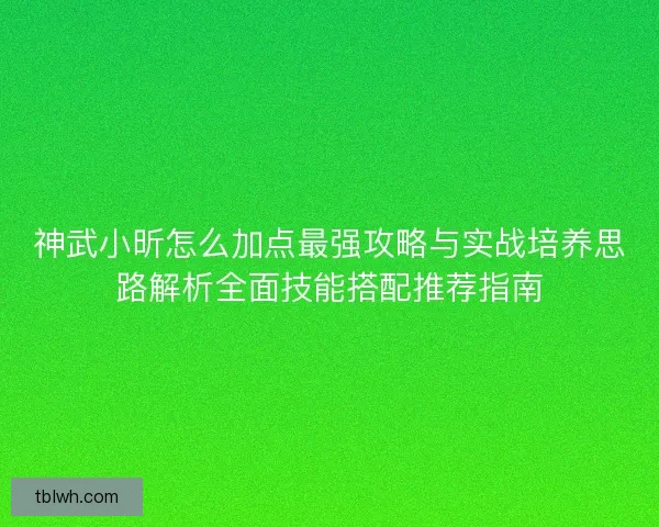 神武小昕怎么加点最强攻略与实战培养思路解析全面技能搭配推荐指南