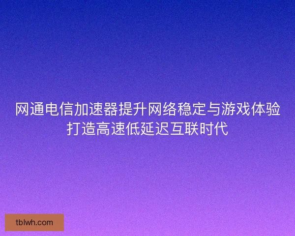 网通电信加速器提升网络稳定与游戏体验打造高速低延迟互联时代