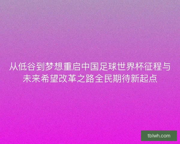 从低谷到梦想重启中国足球世界杯征程与未来希望改革之路全民期待新起点