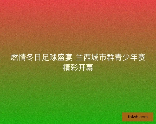 燃情冬日足球盛宴 兰西城市群青少年赛精彩开幕