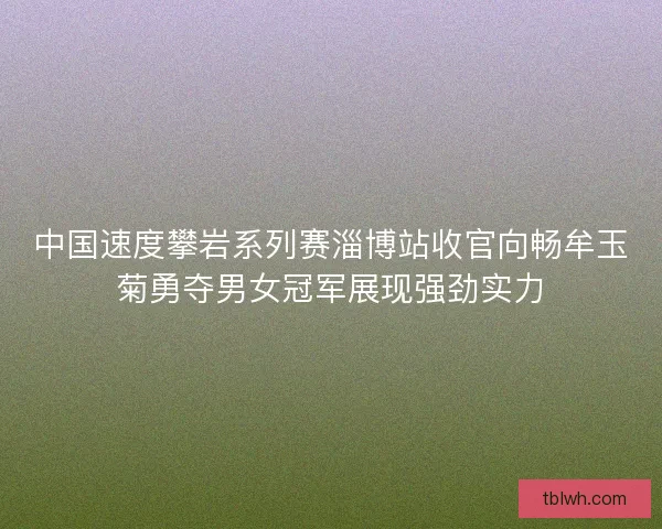 中国速度攀岩系列赛淄博站收官向畅牟玉菊勇夺男女冠军展现强劲实力