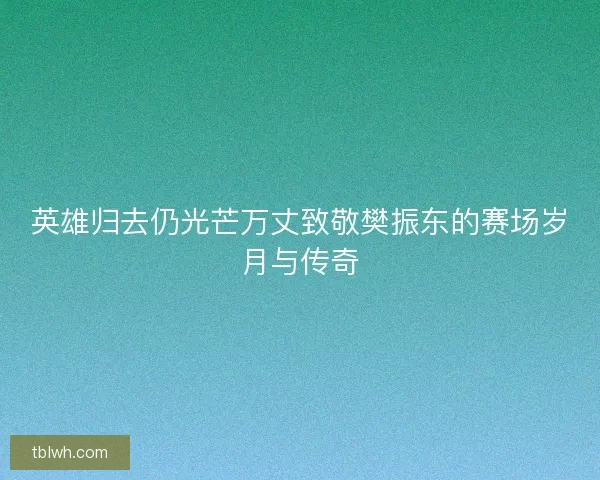 英雄归去仍光芒万丈致敬樊振东的赛场岁月与传奇