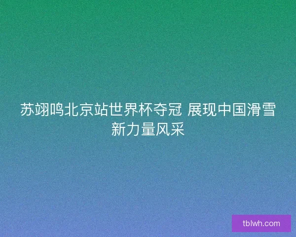 苏翊鸣北京站世界杯夺冠 展现中国滑雪新力量风采 苏翊鸣北京站世界杯夺冠 展现中国滑雪新力量风采